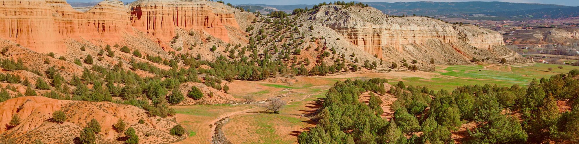 foto paseo con bici por el monte