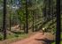 foto de ciclistas por el monte