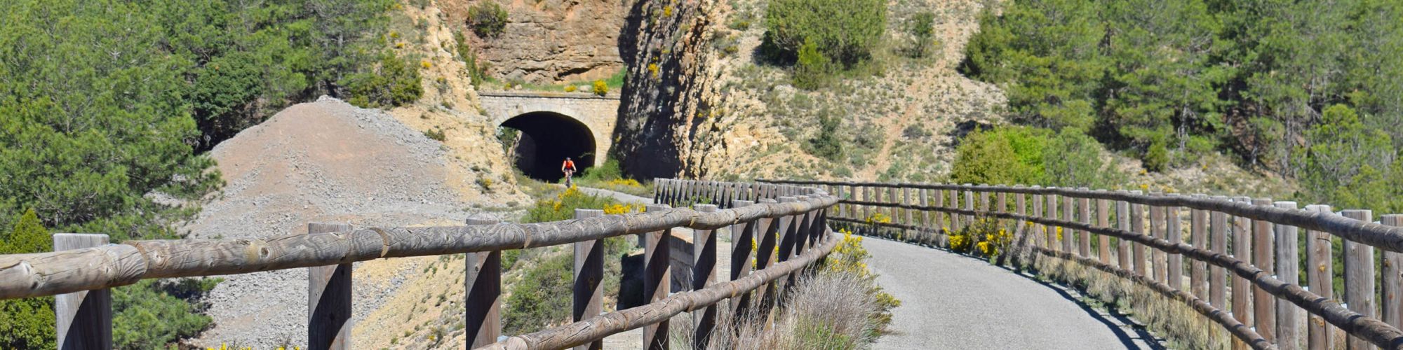 foto paseo con bici por el monte