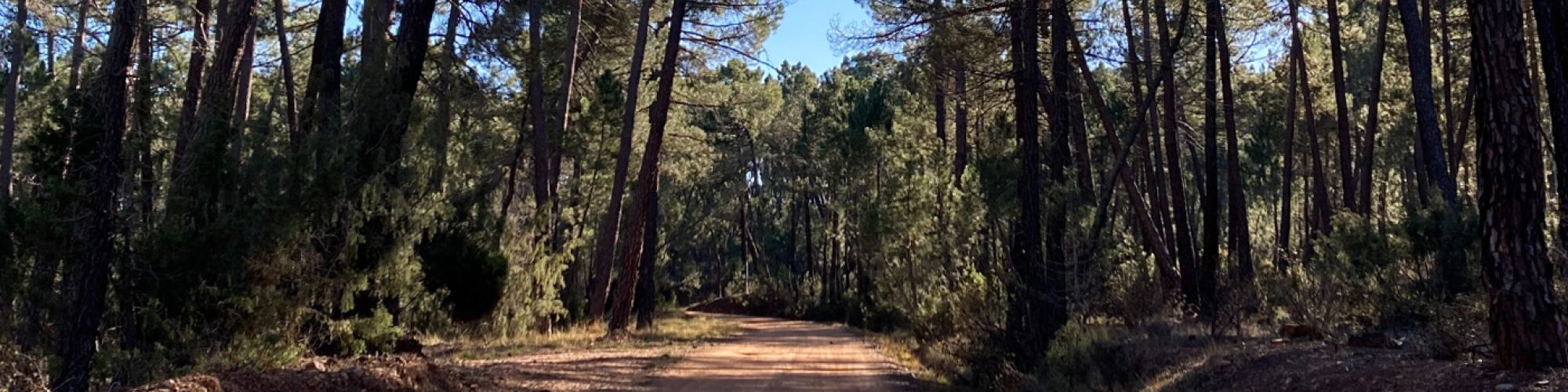 foto paseo con bici por el monte