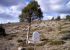 foto ruta vía verde de Teruel