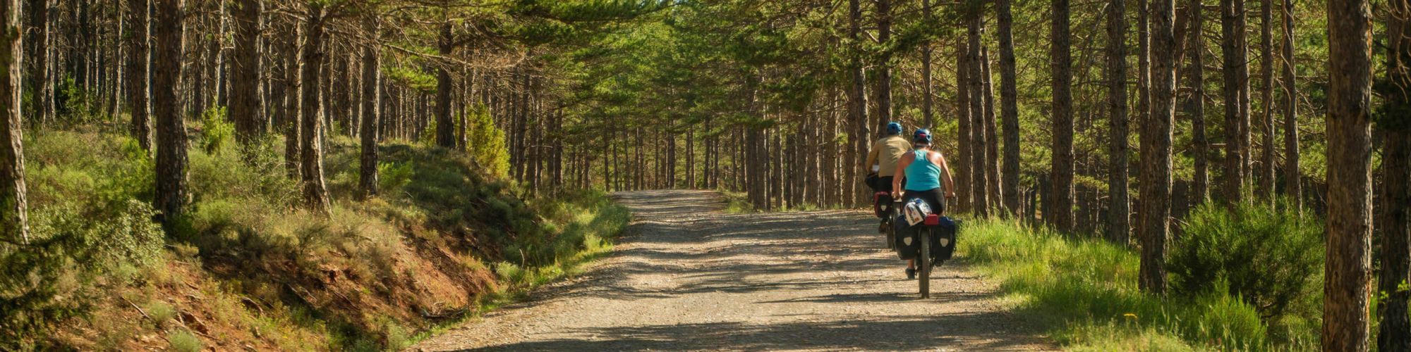 foto paseo con bici por el monte