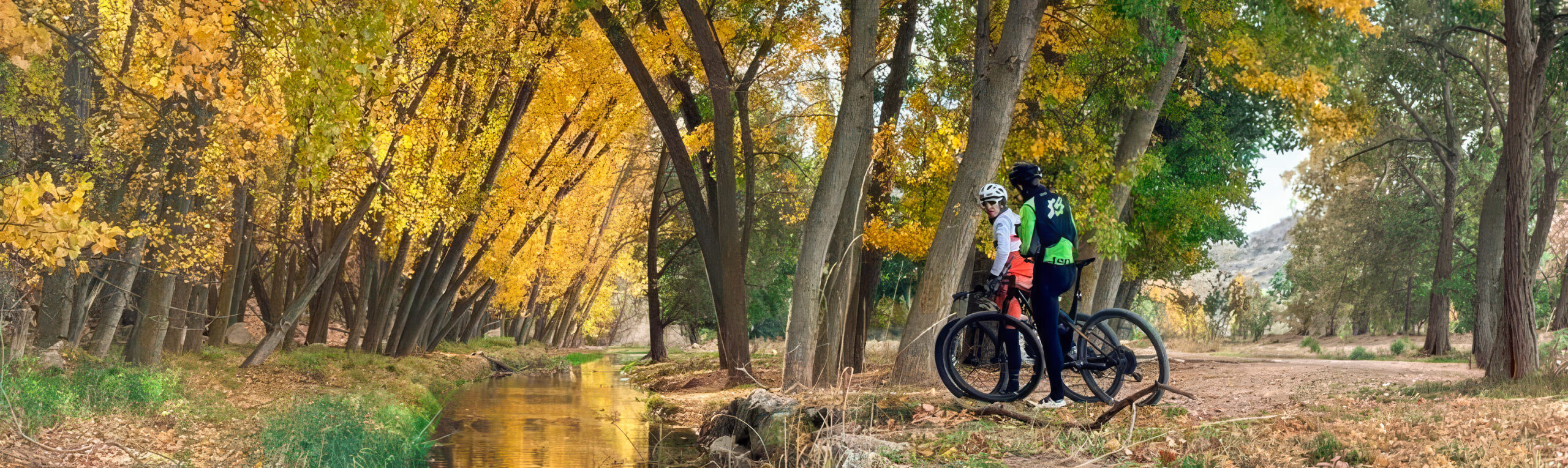 Ciclistas dando un paseo por el monte
