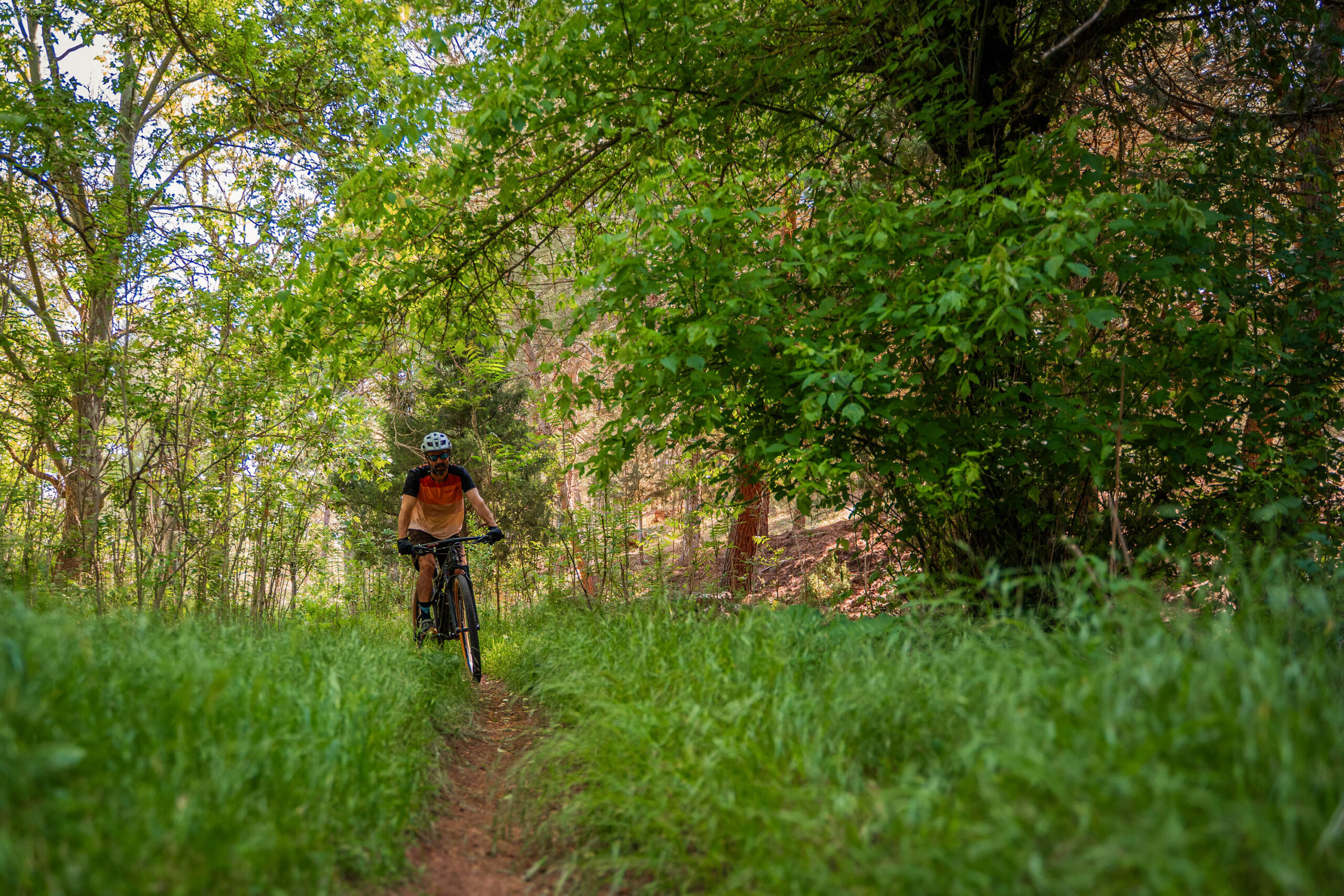 foto de ciclistas por el monte