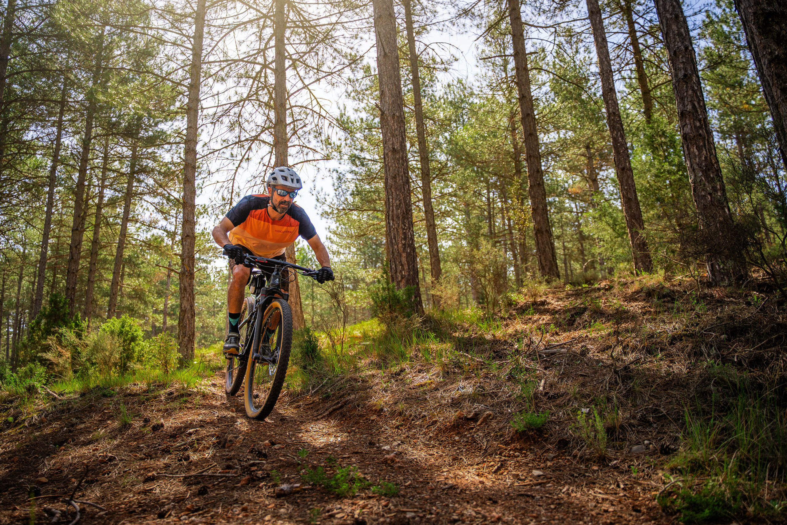 foto de ciclistas por el monte
