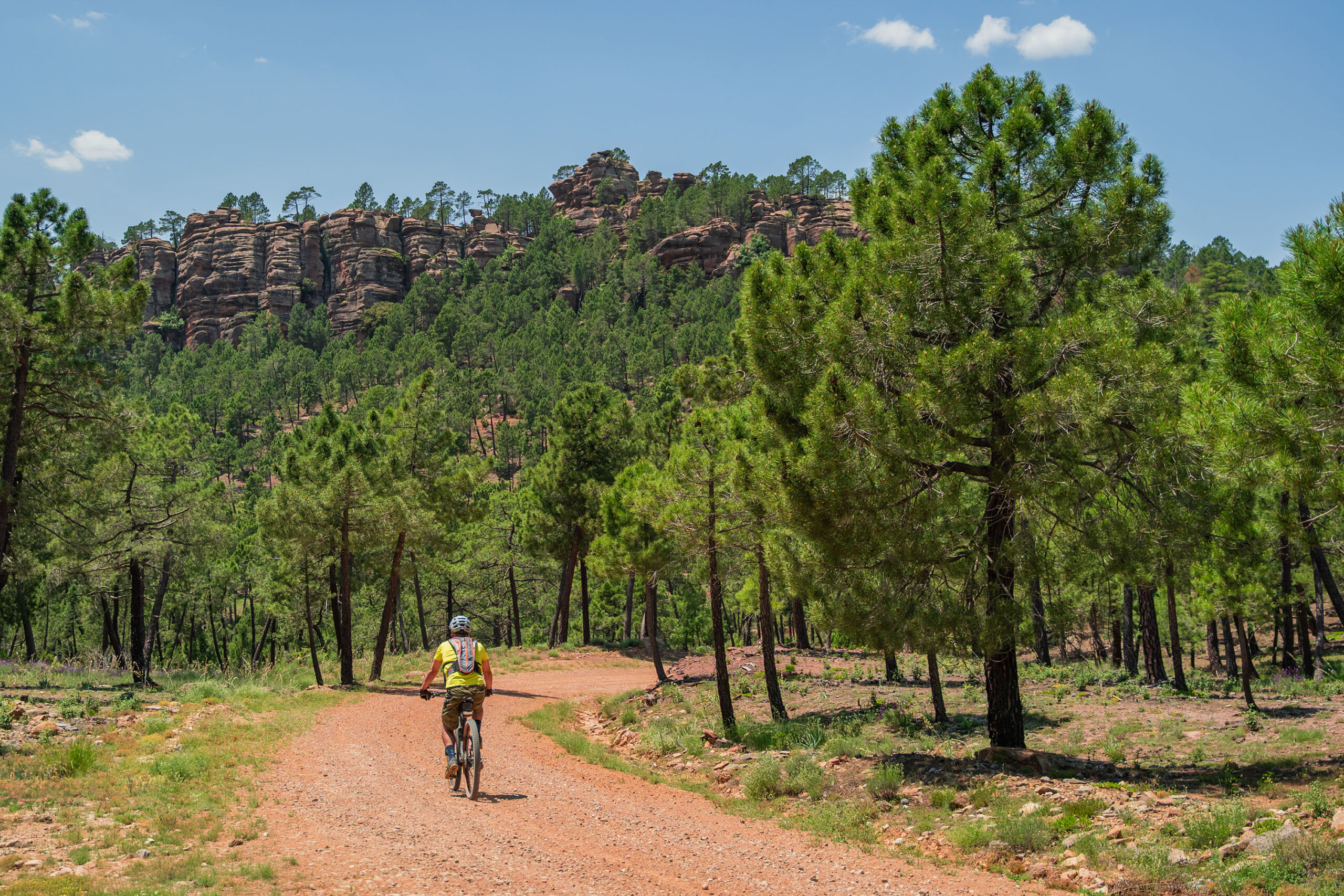 foto de ciclistas por el monte