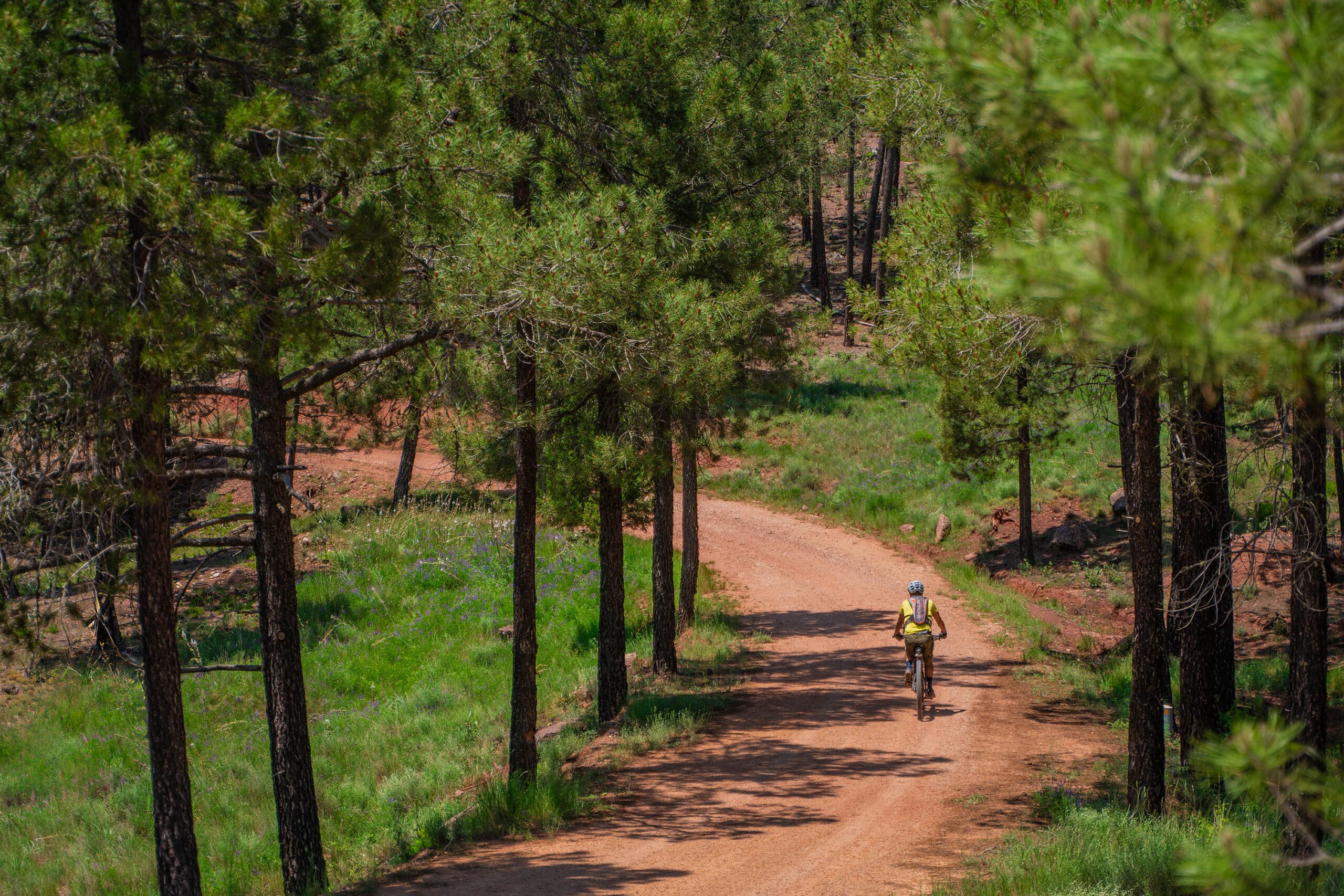 foto de ciclistas por el monte