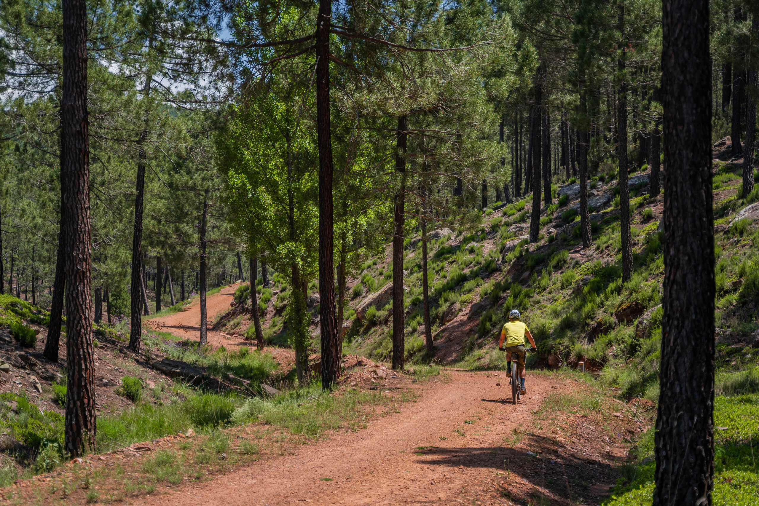 foto de ciclistas por el monte