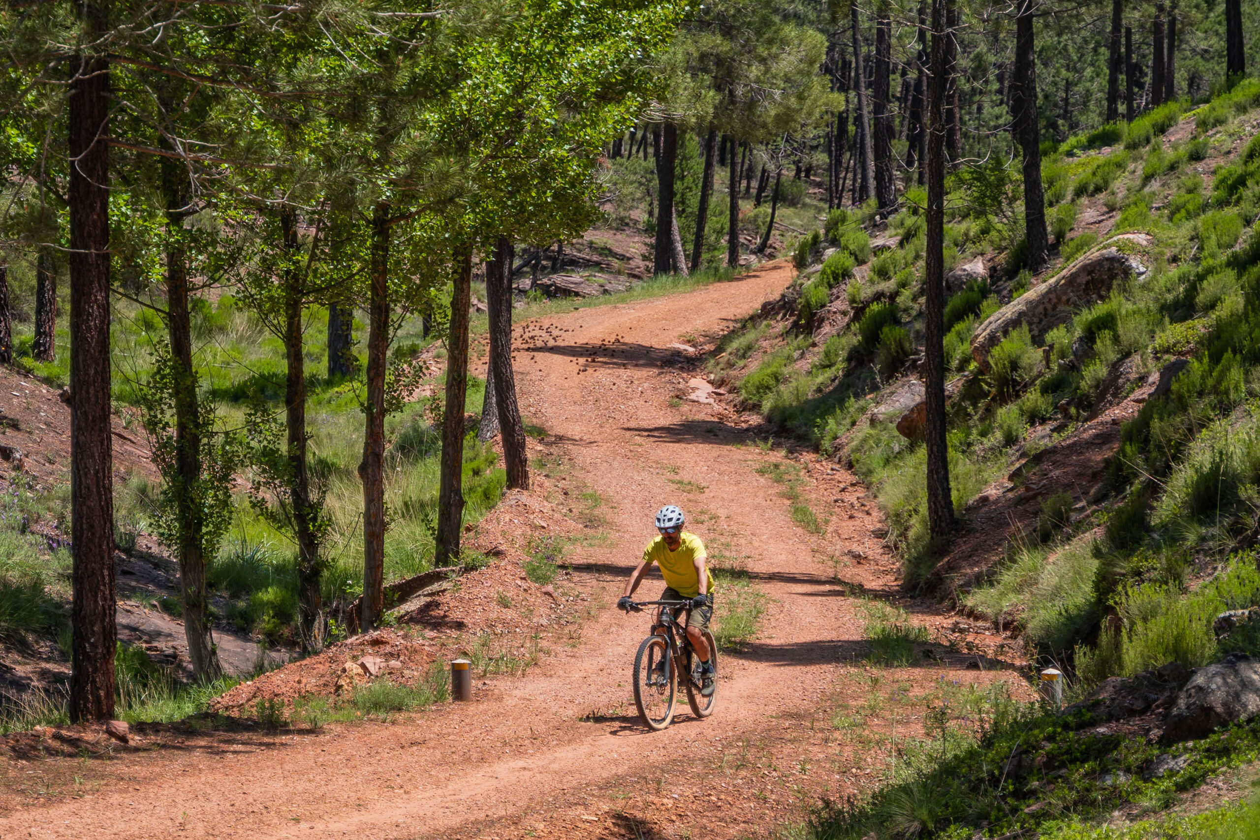 foto de ciclistas por el monte