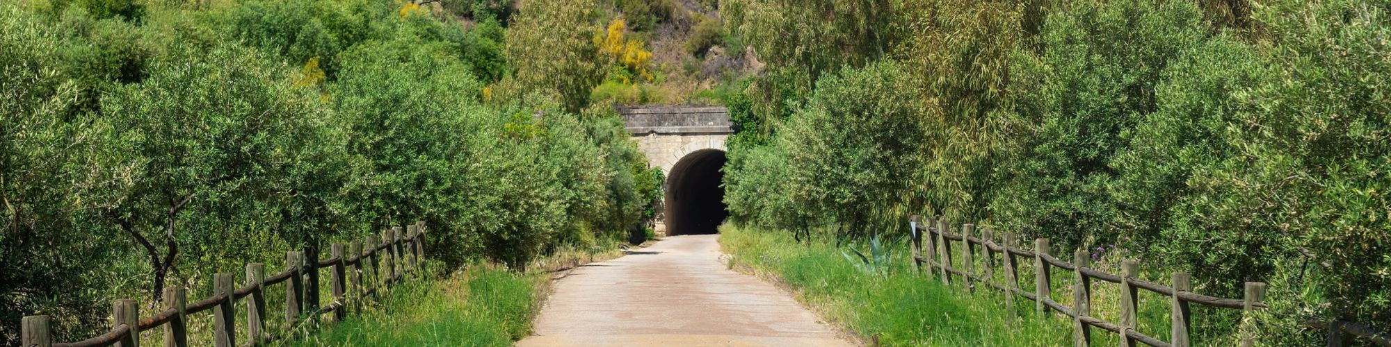 foto paseo con bici por el monte