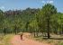 foto de ciclistas por el monte